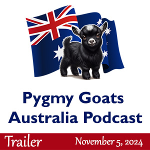Trailer – Pygmy Goats Australia Podcast