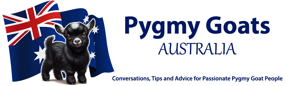 Pygmy Goats Australia Podcast